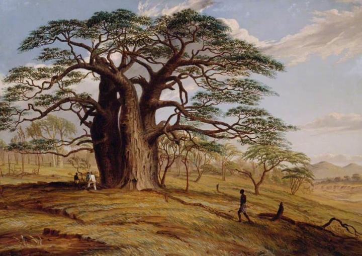 Landscape with Figures and a Baobab Tree (Adansonia Digitata), Zambia