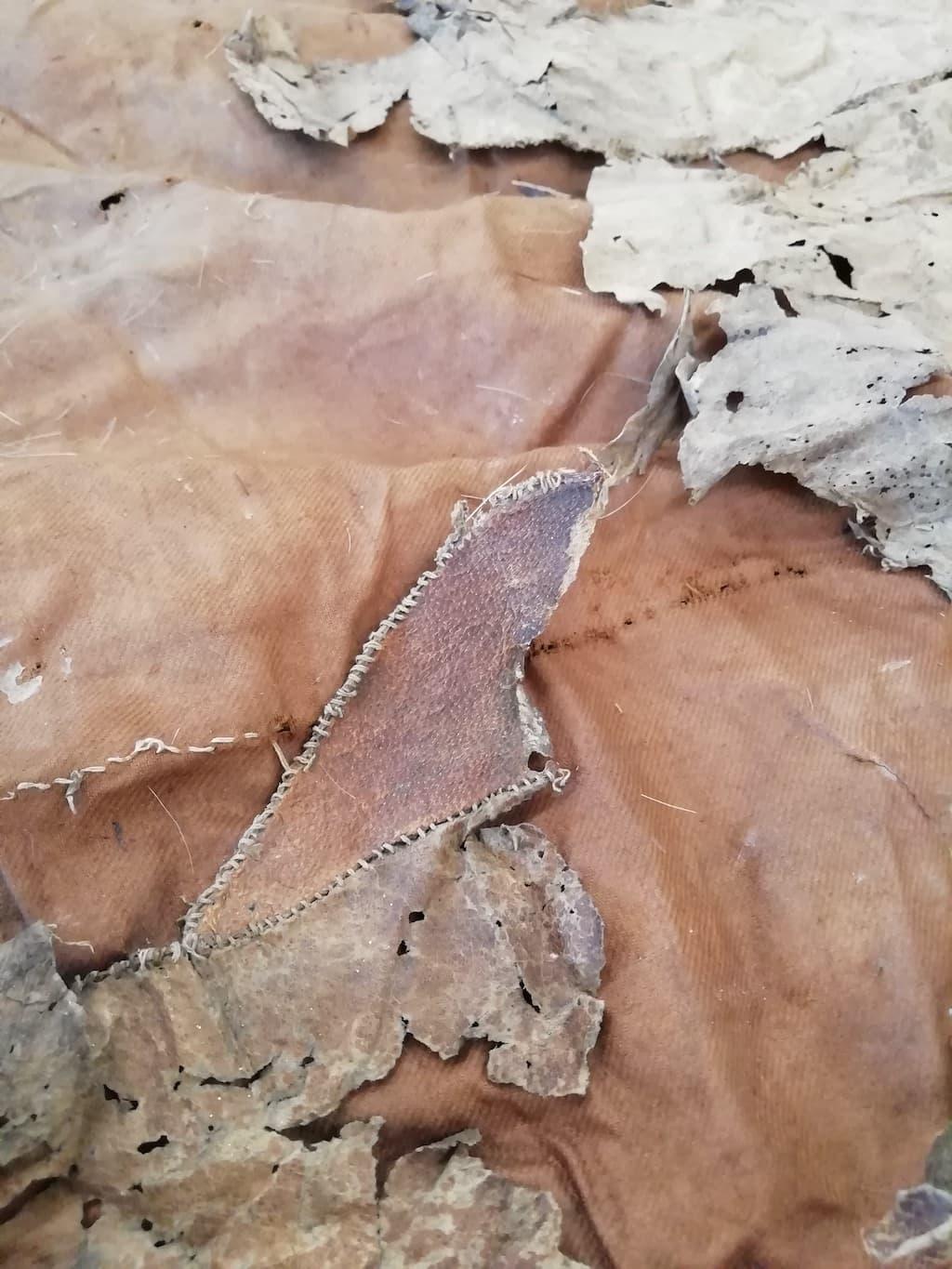 Blog Antelope Skin 1 R3